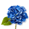 Soft Touch Faux Hydrangea Stem - Blue Artificial Flower Stem for Everyday Decor, 13" Height, Easy Care